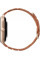 Смарт-часы Amazfit GTS 4 Autumn Brown